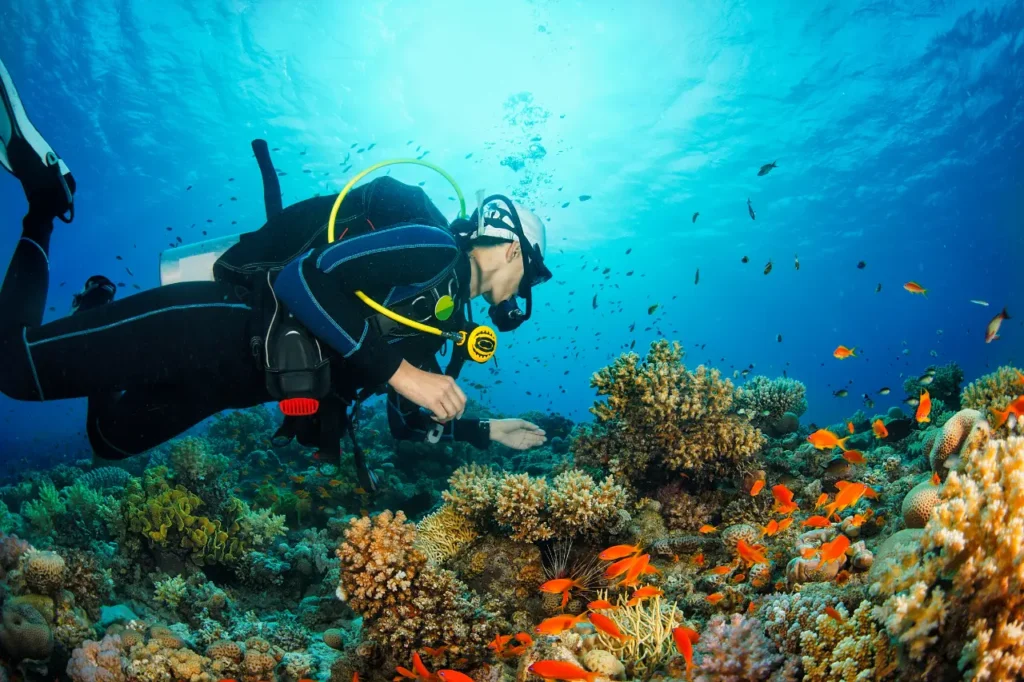 Best Scuba Diving Experience in Murudeshwar